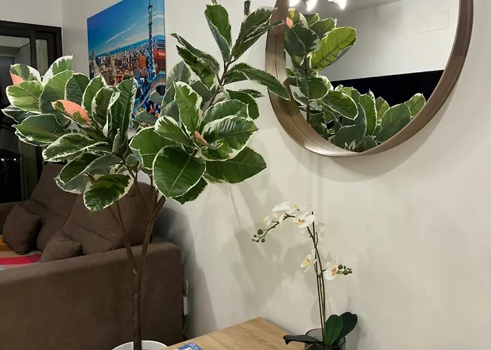 Sovhispan Sc Tenerife Piscina *