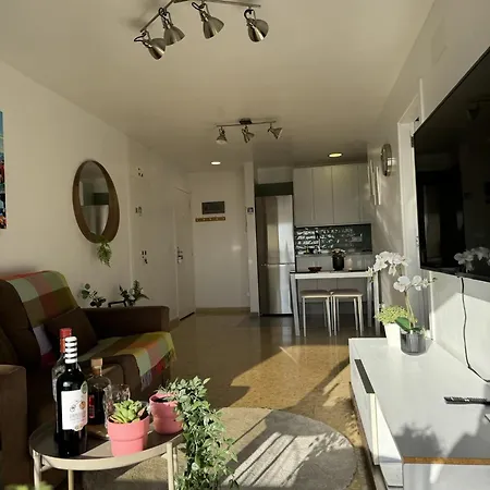 Sovhispan Sc Tenerife Piscina