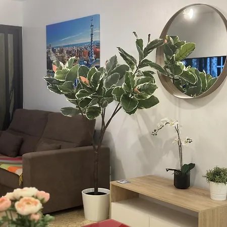 Sovhispan Sc Tenerife Piscina Apartmán